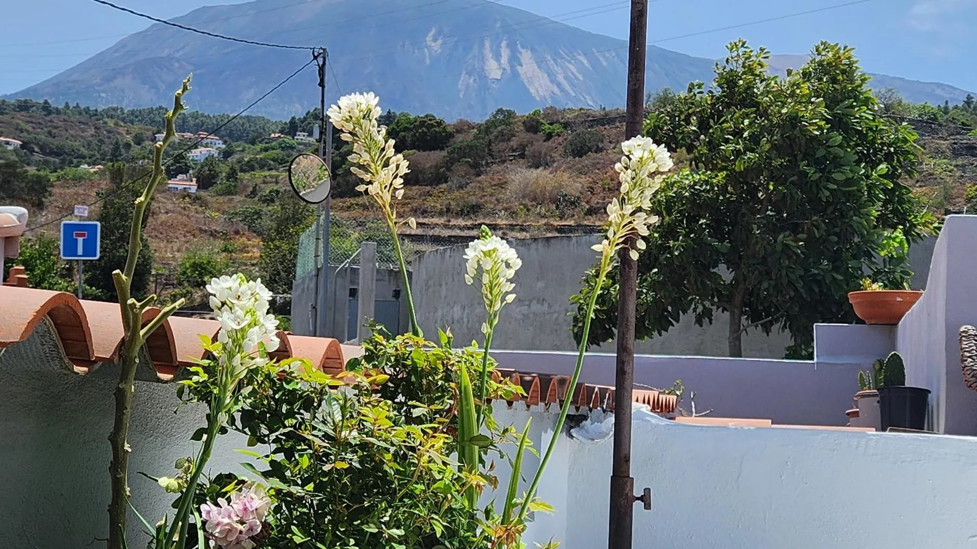 Casa Salvia Bed & Breakfast - Icod - Tenerife Icod De Los Vinos